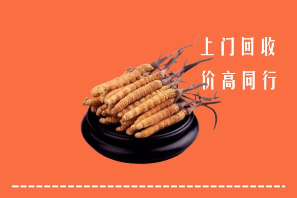 逊克县回收散虫草