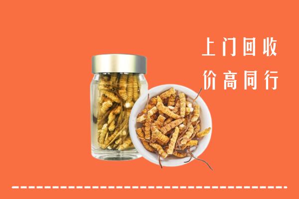 逊克县回收冬虫夏草